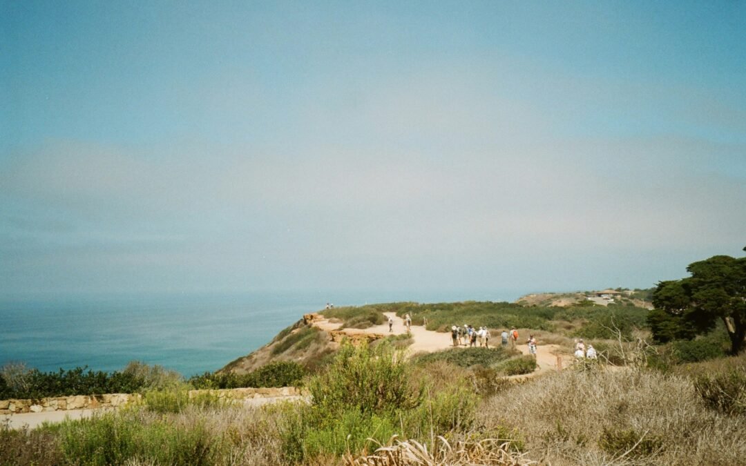 Exploring the Jeju Olle Trail: A Guide to Recommended Walking Courses