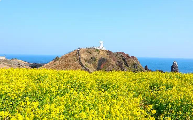 Discovering the Coastal Gem of Seopjikoji